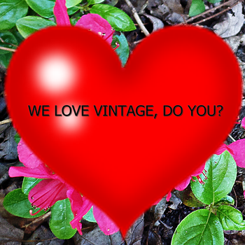 We Love Vintage!  Do You? Promotion & Chat Team